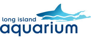 long island aquarium logo
