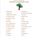 Scavenger Hunt