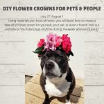 DIY FLOWER CROWNS FOR PETS & PEOPLE