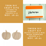 Teen_Tween Curbside DIY Craft Kits_11_16