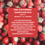 TEEN STRAWBERRY SHORTCAKE KITS 5_7