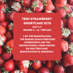 TEEN STRAWBERRY SHORTCAKE KITS NEW 5_7