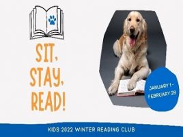 a picture of a dog with the words sit stay read