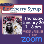 Register for Virtual Program: Elderberry Syrup