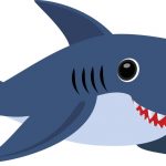 Shark