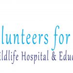 Volunteers for Wildlife (2)