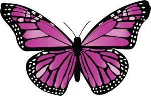 Beautiful purple and black vector Monarch Butterfly