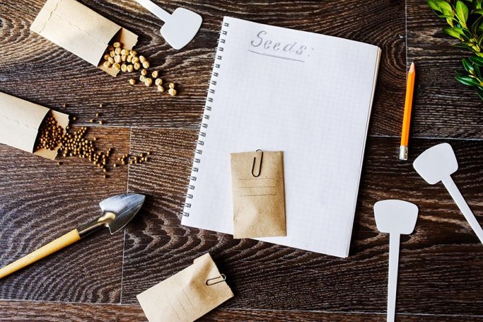 spring garden preparation for sowing vegetable seeds and planning. Pumpkin, coriander with labels, peat pots and tools on note book. Seasonal garden work.