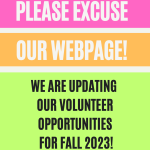 Teen Webpage Volunteer Post 2023