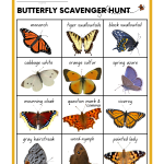 Butterfly Scavenger Hunt Worksheet Tween