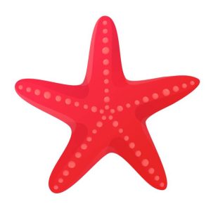 Red starfish seashell. Beach clipart,ocean star element concept. Stock vector illustration isolated on white background in flat cartoon style.