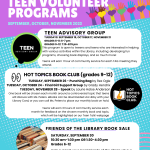 teen vol progs new21