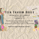 Teen Shadow Boxes IG NP NOV 8