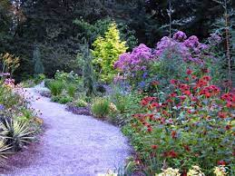 A path through a garden with various plants and shrubs.