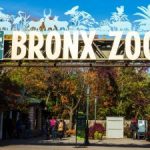 bronxzoo