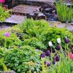 Rain Gardens