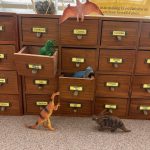 toy dinosaurs in seed library drawers