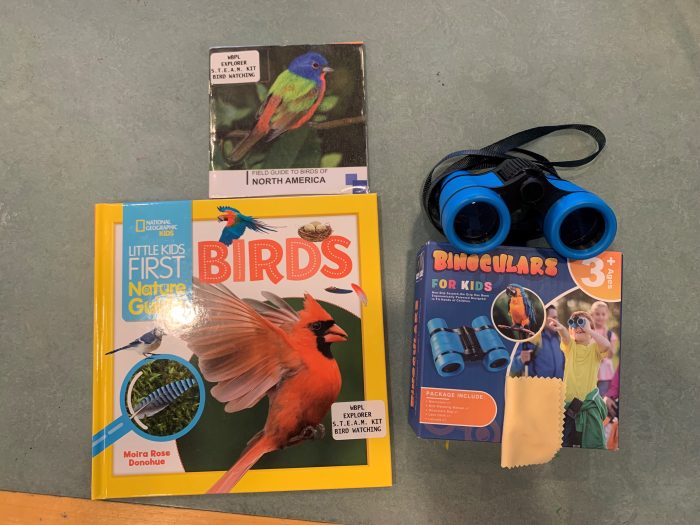 Book on bird watching and binoculars