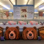 Grizzly Bear Game Set