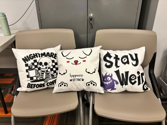 Cricut pillows