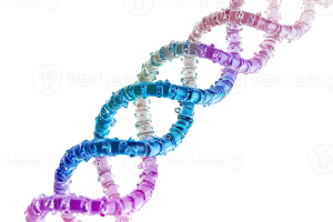 DNA Bracelet