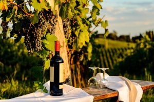 A Winery In Tuscany In The Chianti Region with a bottle of wine and glasses on a table with vineyards in the background
